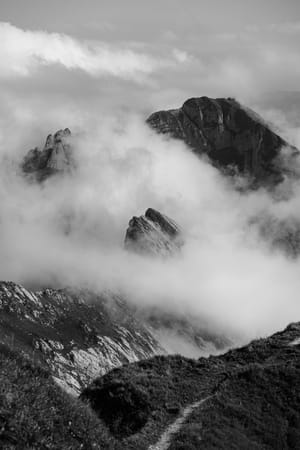 © Thomas Palings